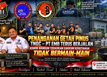 Penanganan Getah Pinus TNGC–PT EMB Terus Berjalan, Aswin Bangun Tegaskan Gakkum Kehutanan Tidak Bermain-main 20