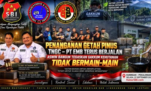 Penanganan Getah Pinus TNGC–PT EMB Terus Berjalan, Aswin Bangun Tegaskan Gakkum Kehutanan Tidak Bermain-main 6