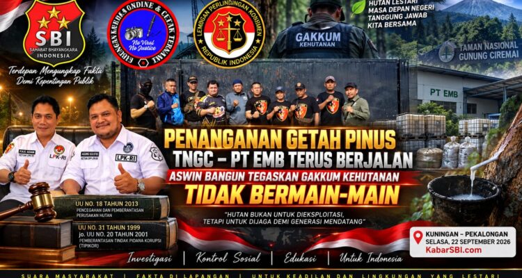 Penanganan Getah Pinus TNGC–PT EMB Terus Berjalan, Aswin Bangun Tegaskan Gakkum Kehutanan Tidak Bermain-main 1