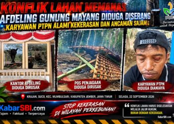Konflik Lahan Memanas: Afdeling Gunung Mayang Diduga Diserang, Karyawan PTPN Alami Kekerasan dan Ancaman Sajam 18