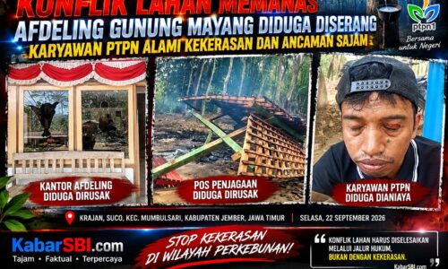 Konflik Lahan Memanas: Afdeling Gunung Mayang Diduga Diserang, Karyawan PTPN Alami Kekerasan dan Ancaman Sajam 11