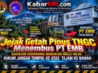Jejak Getah Pinus TNGC Menembus PT EMB, Gakkum Didorong Bongkar Hulu-Hilir: Hukum Jangan Tumpul ke Atas, Tajam ke Bawah 11