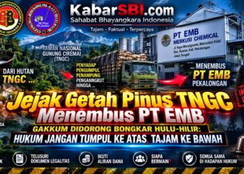 Jejak Getah Pinus TNGC Menembus PT EMB, Gakkum Didorong Bongkar Hulu-Hilir: Hukum Jangan Tumpul ke Atas, Tajam ke Bawah 18