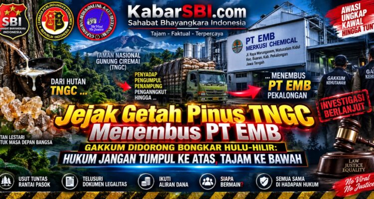 Jejak Getah Pinus TNGC Menembus PT EMB, Gakkum Didorong Bongkar Hulu-Hilir: Hukum Jangan Tumpul ke Atas, Tajam ke Bawah 1