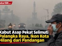 Kabut Asap Pekat Selimuti Palangka Raya, Ikon Kota Hilang dari Pandangan 12