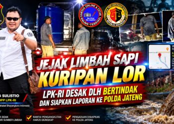 Jejak Limbah Sapi Kuripan Lor, LPK-RI Desak DLH dan Siapkan Laporan ke Polda Jateng 15