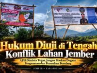Hukum Diuji di Tengah Konflik Lahan Jember: APH Diminta Tegas, Jangan Biarkan Dugaan Penguasaan dan Perusakan Berulang 11