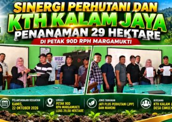 SINERGI PERHUTANI DAN KTH KALAM JAYA, PENANAMAN 29 HEKTARE DI PETAK 90D RPH MARGAMUKTI 16