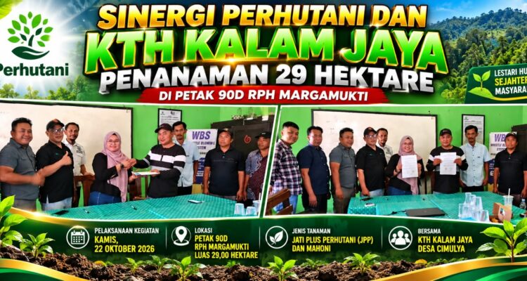 SINERGI PERHUTANI DAN KTH KALAM JAYA, PENANAMAN 29 HEKTARE DI PETAK 90D RPH MARGAMUKTI 1