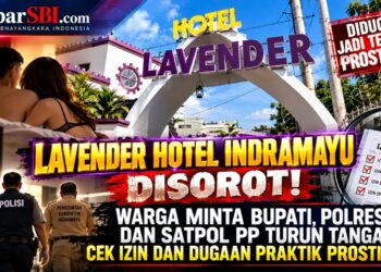 LAVENDER HOTEL INDRAMAYU DISOROT! WARGA MINTA BUPATI, POLRES, DAN SATPOL PP TURUN TANGAN CEK IZIN DAN DUGAAN PRAKTIK PROSTITUSI 17